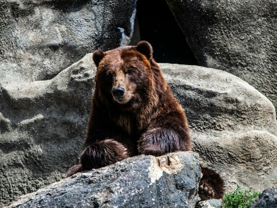 Parc Animalier de Gramat